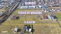 Teren arabil intravilan pentru PUZ 11.600mp | Giroc