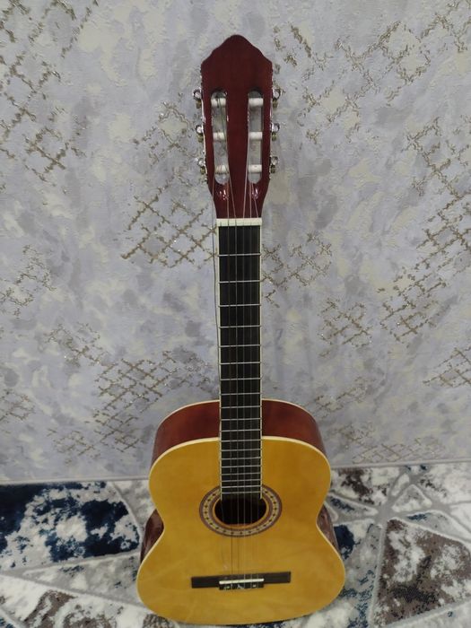 Gitara jildi bilan