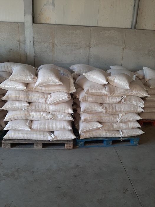 Vând porumb ambalat la sac