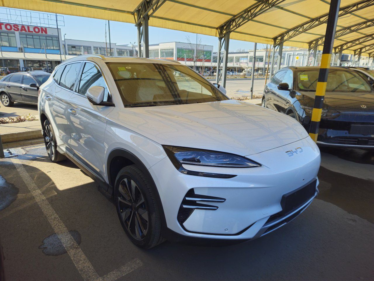 BYD champion elektromobil