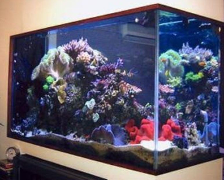 Акварим ясаш ремонт хизмати.