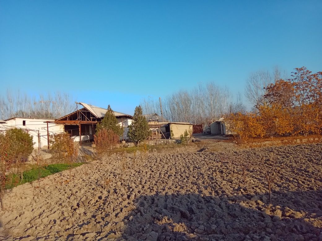 Sug'urtasi bor Hamma sharoitlar yaxshi
