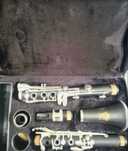 Parrot clarinet Parrot