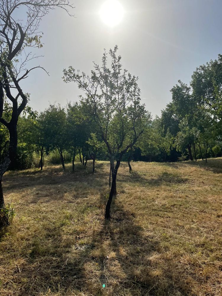 Terenuri de vanzare, sat Colobasi, comuna  Malovat