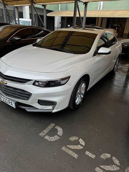 Малибу-2    2,4 ок жемчук 2018й краска тозза