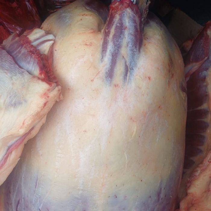 согым сатамын/резня/мясо