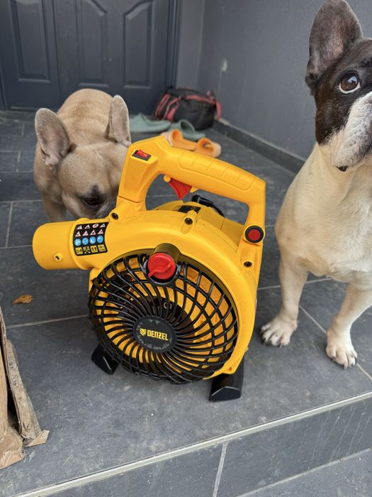 Suflanta frunze denzel benzina