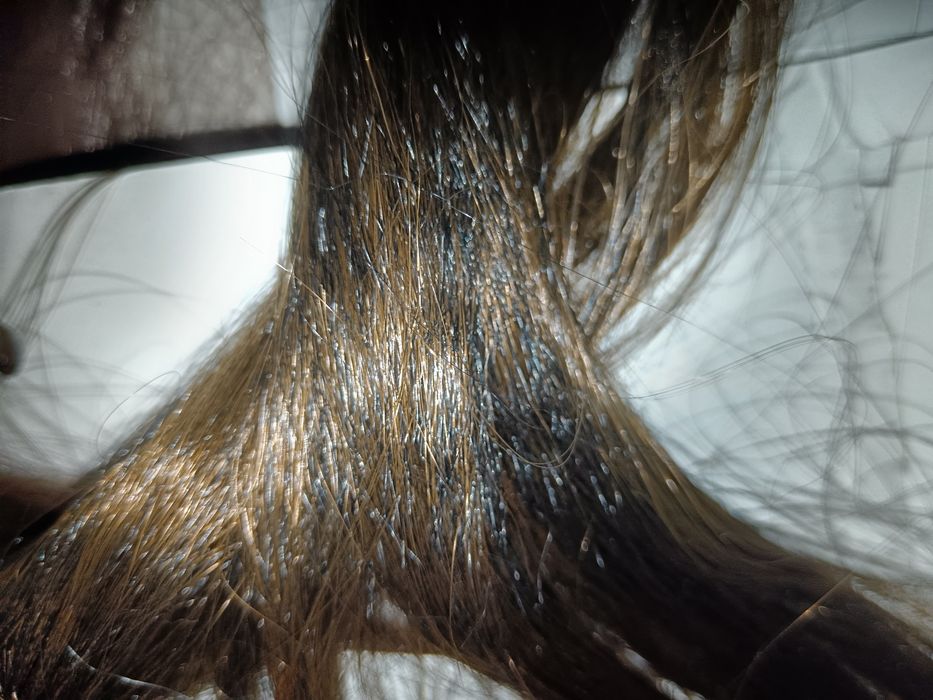 Extensii de par clip on