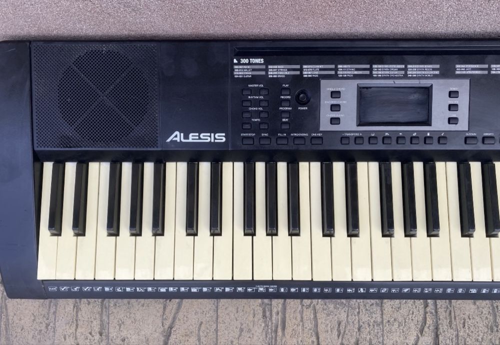 pian digital / orga electronica Alesis