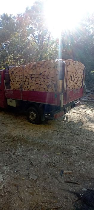 Lemne de foc esență tare Fag