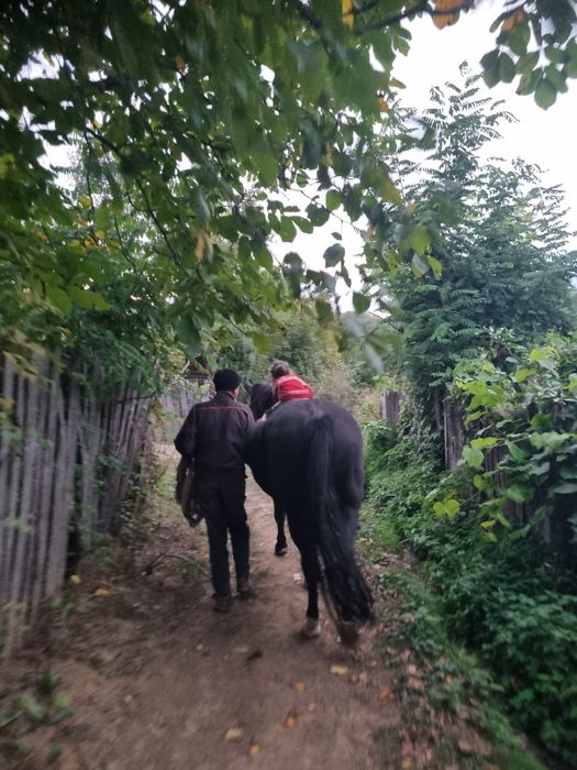 vand iapa ,10.000 negociabil