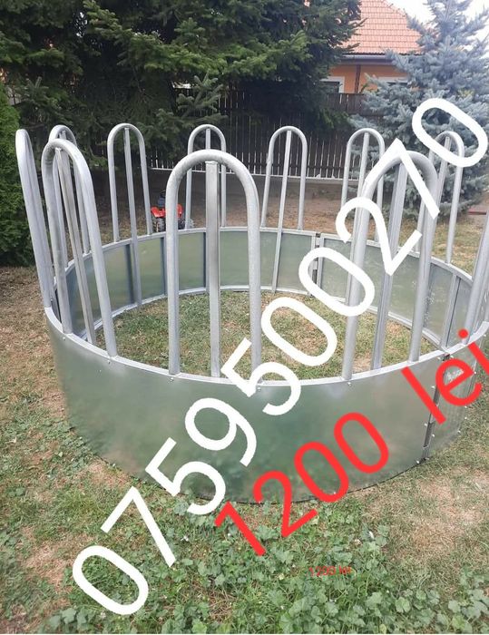 Iesle  vaci hrănitor