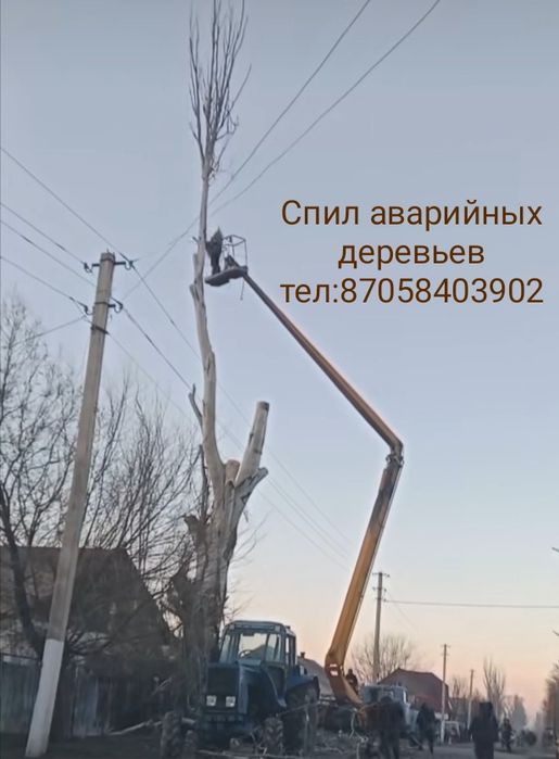 СПИЛ Аварийных деревьев