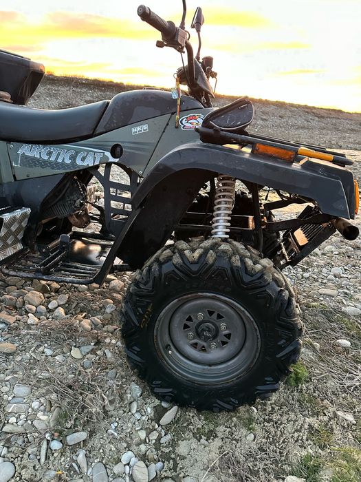 Arctic cat 300 2X4