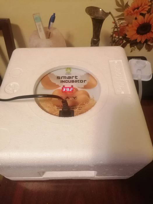 Incubator cu întoarcere automata