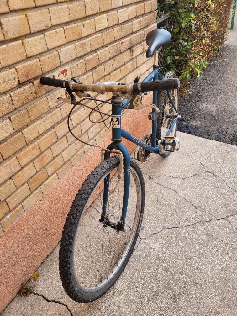 Bicicleta wolfbyke