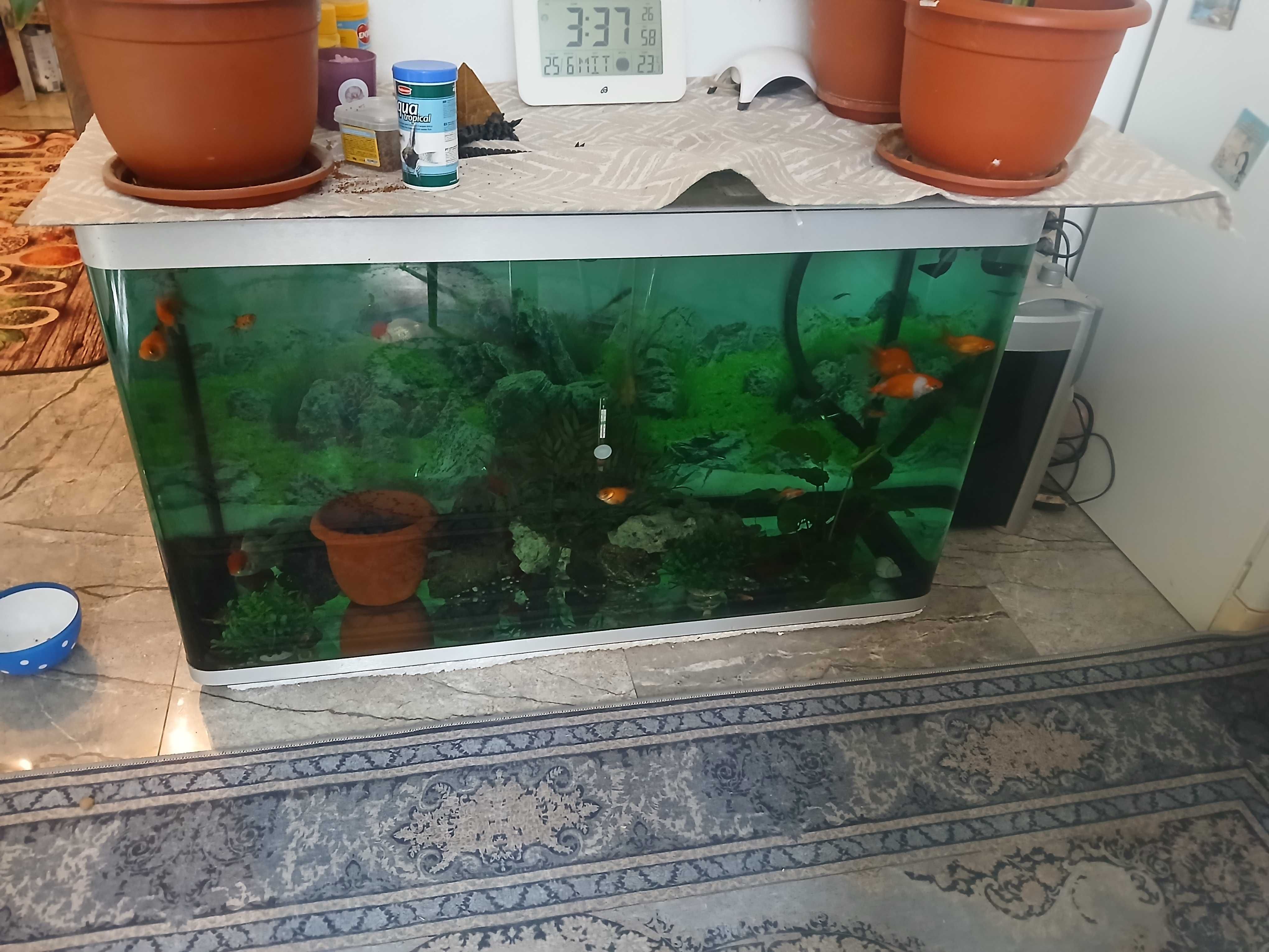 Vand acvariu echipat