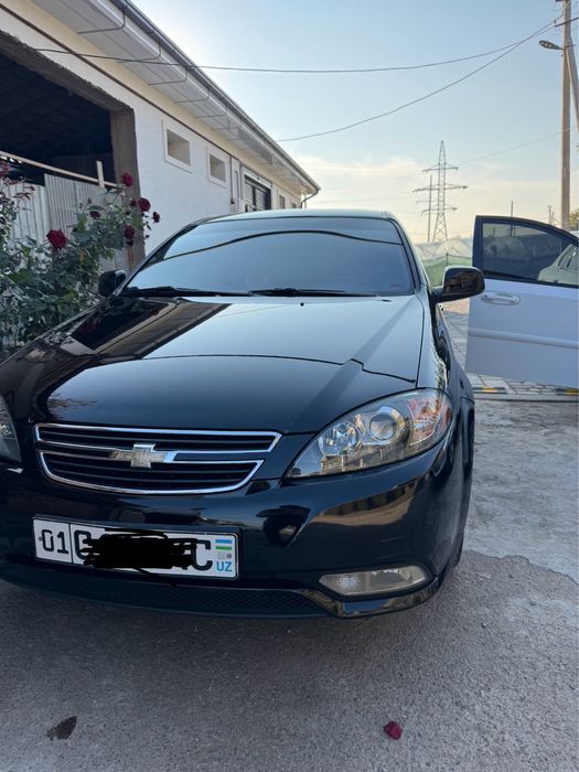 Gentra amerikanka fara