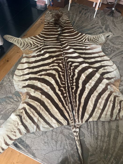 Piele de zebra naturala