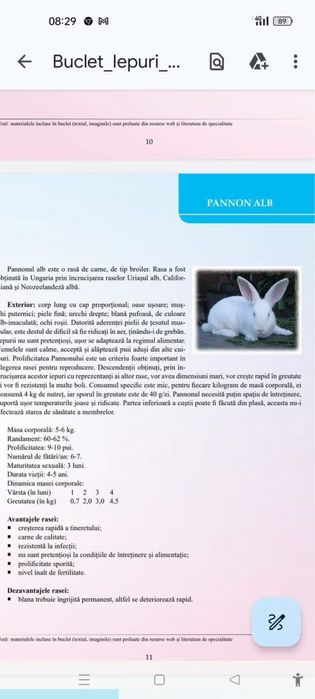 Femela alb de panonia de vanzare