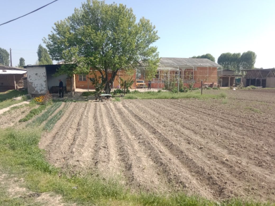 Срочна Уй сотилади 24 сотих