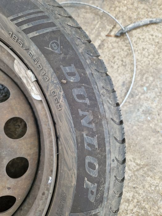 Anvelope dunlop 185/65/14 dot 2024