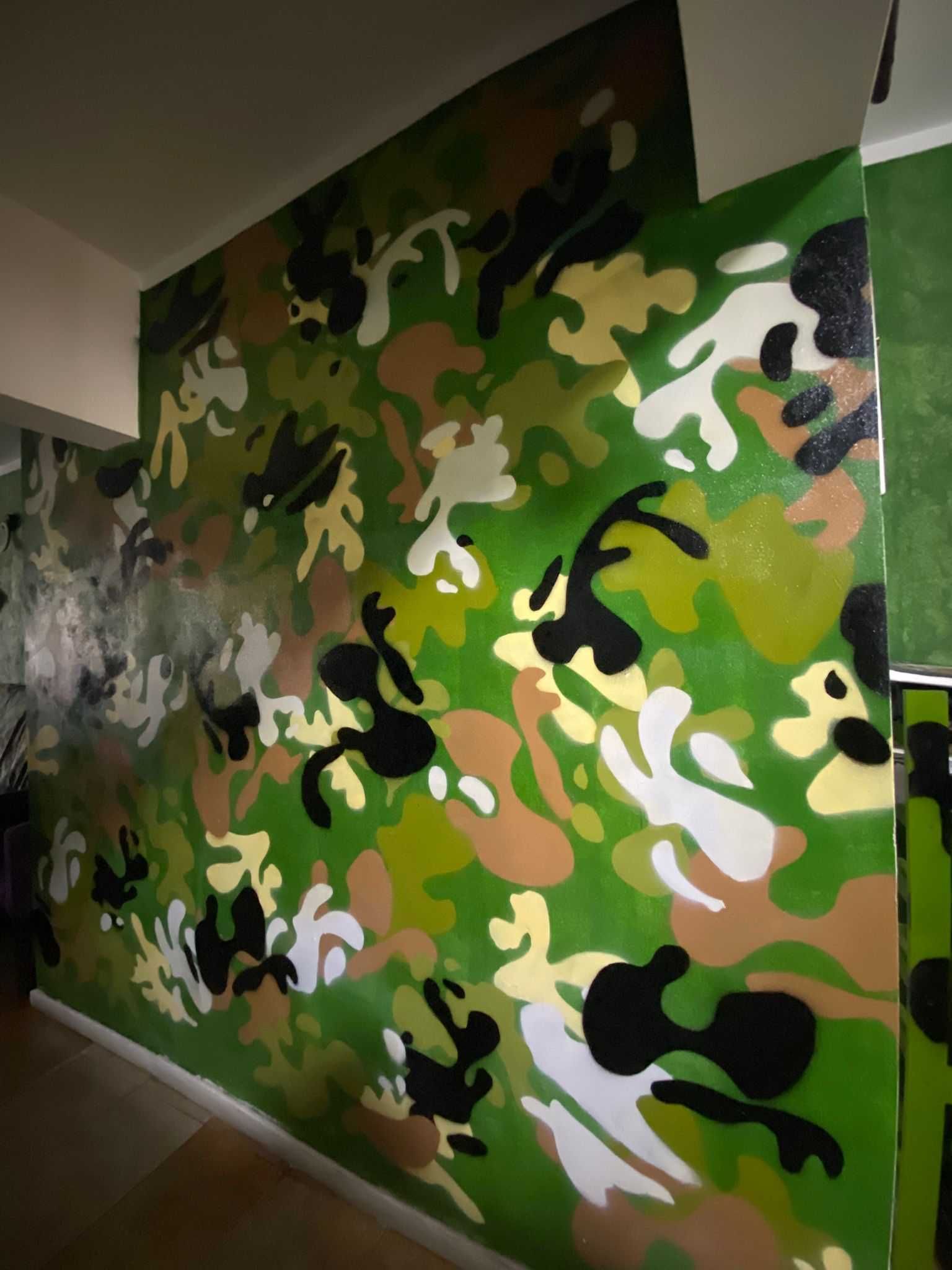 Graffiti si picturi murale si desene pereti