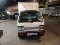 Labo 2025 termo  bortli