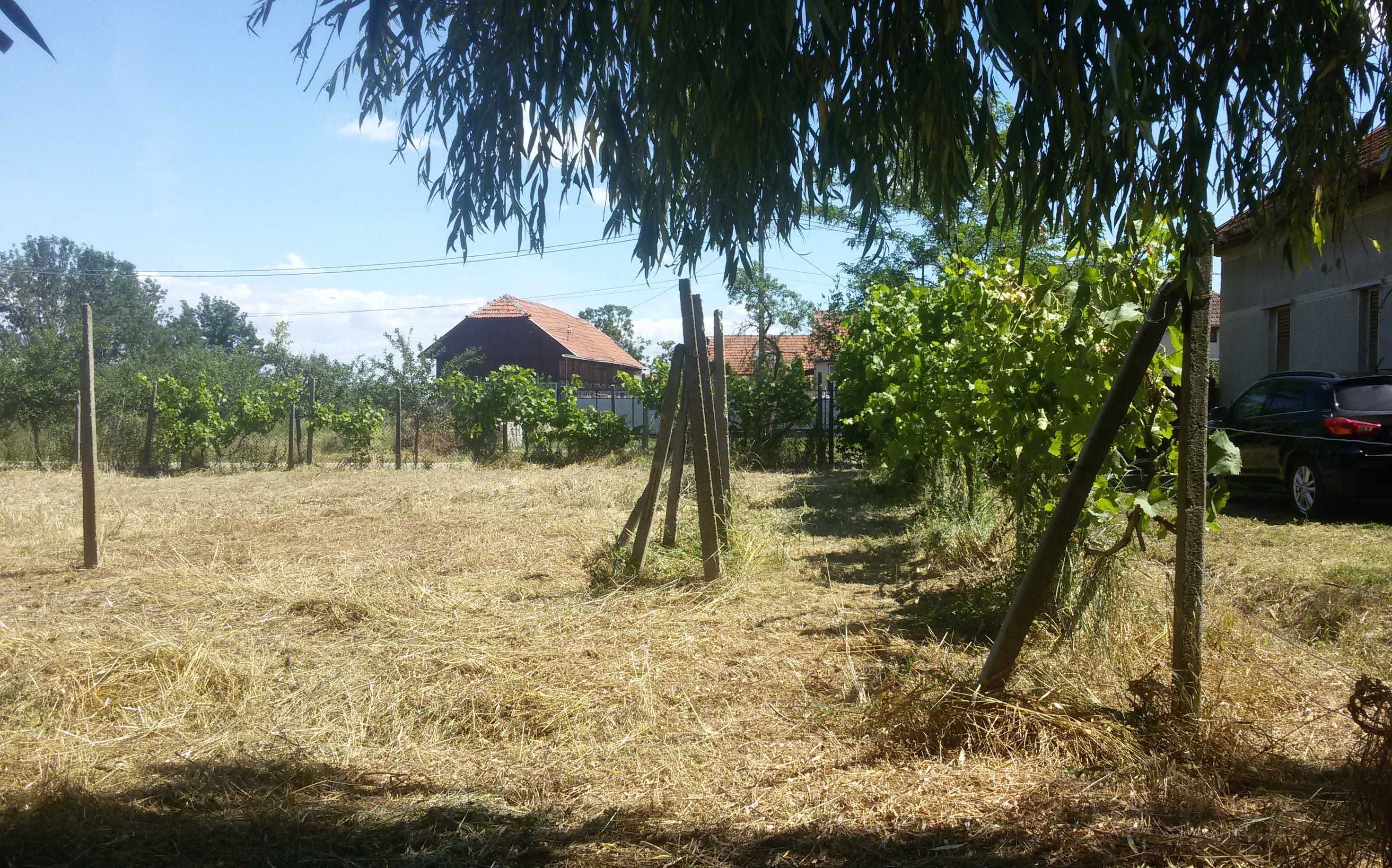 Casă cu teren Darova (Timiș) de vânzare