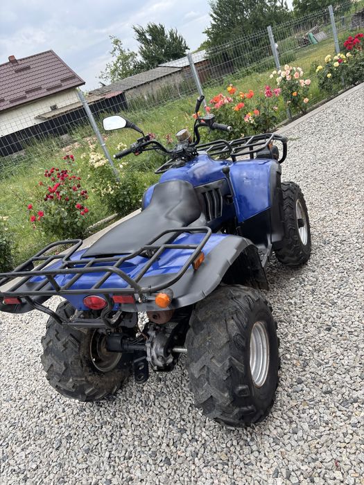 Vand Atv Linhai 300 2x4