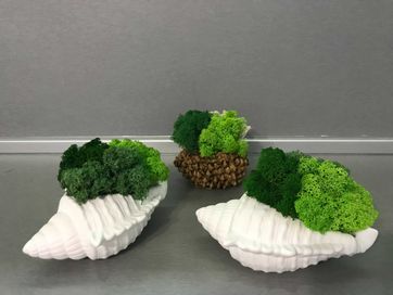 Handmade decorations with moss