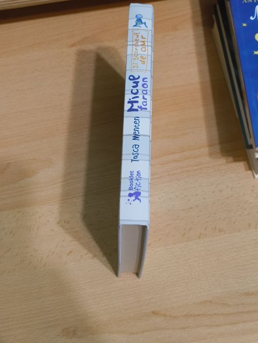 Carte Winston un motan in misiune secreta