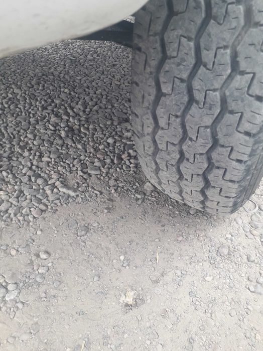 Damas balon laboniki