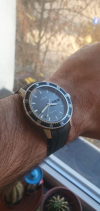 Sinn 104 Pilot Diver