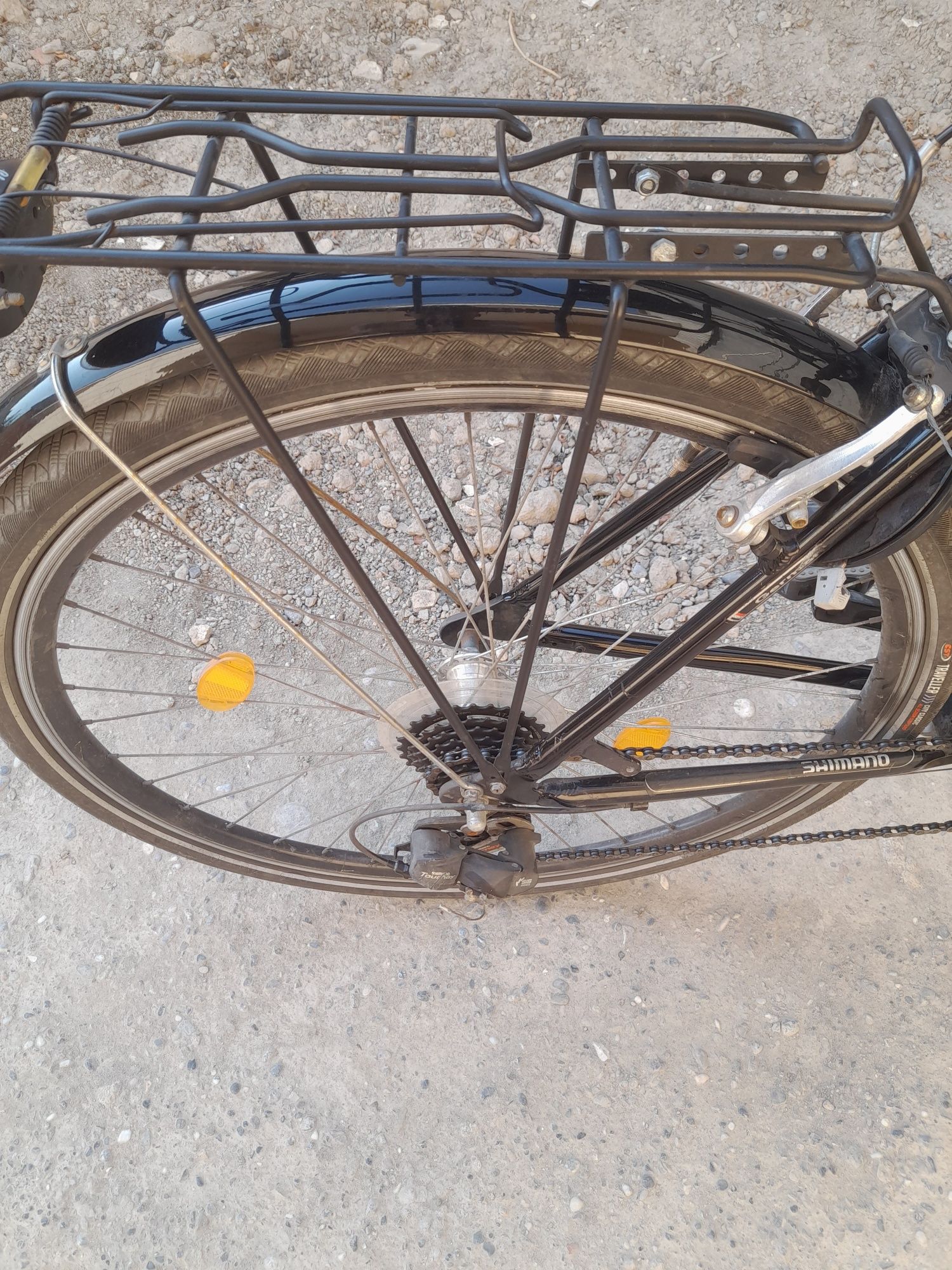 Velosiped nomi gecco
