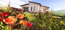 Oferta Cazare litoral Costinesti Casa Mozartino- OCUPAT 08- 16 IULIE