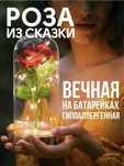 Вечная Роза в стеклянной колбе