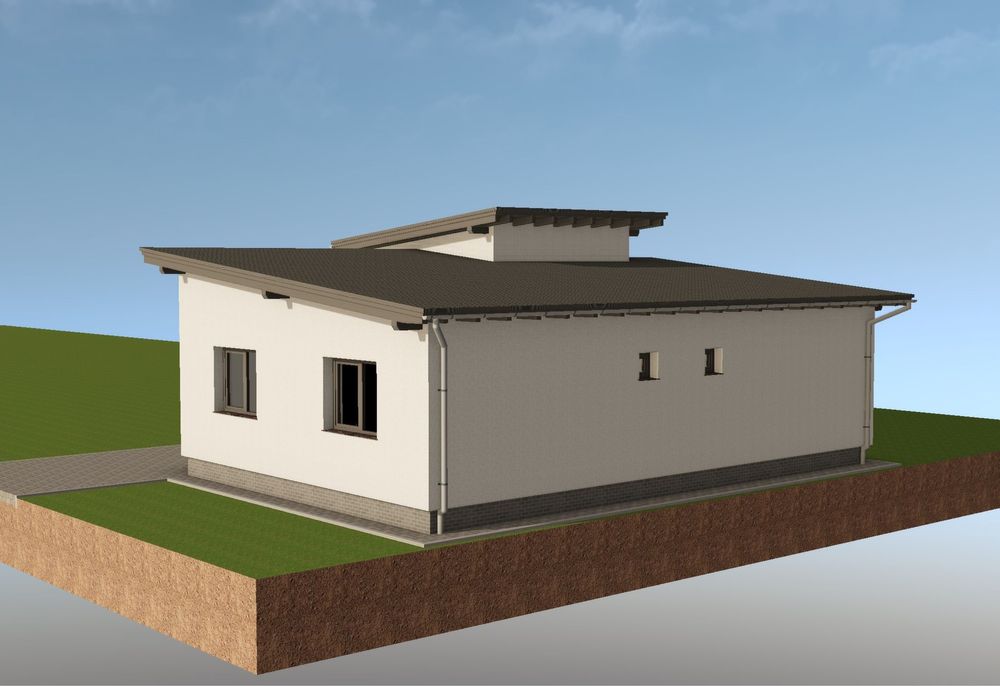 Casa noua de vanzare