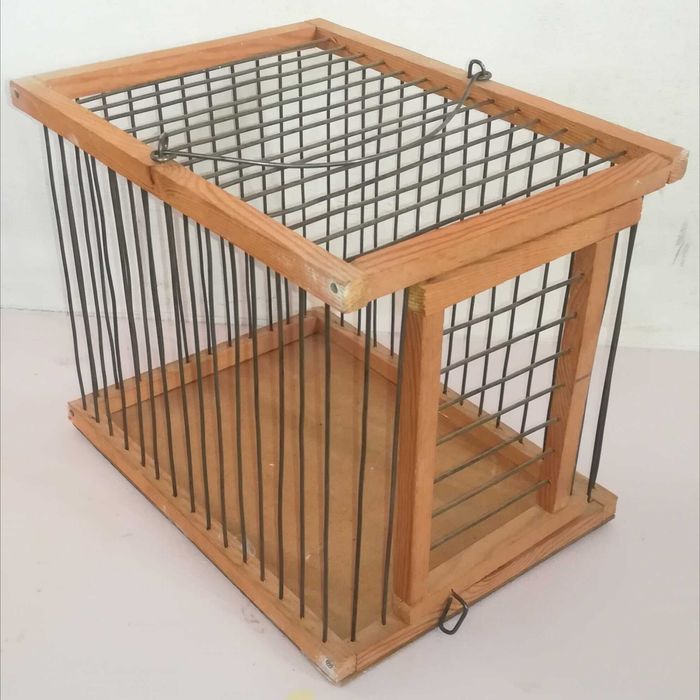 перенос  клетка  15шт