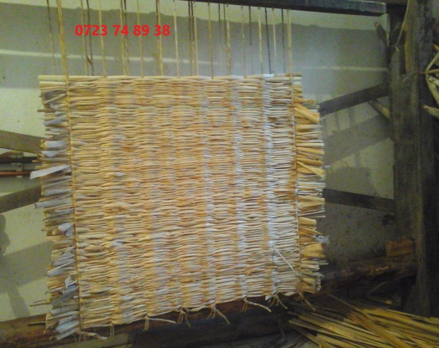Rogojina   Papura