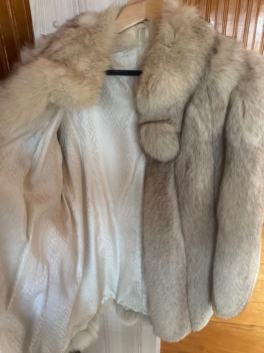 Haina de blana-vulpe