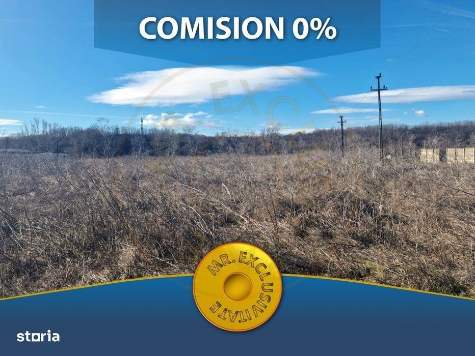 26.000 Mp Teren+Hala Costesti