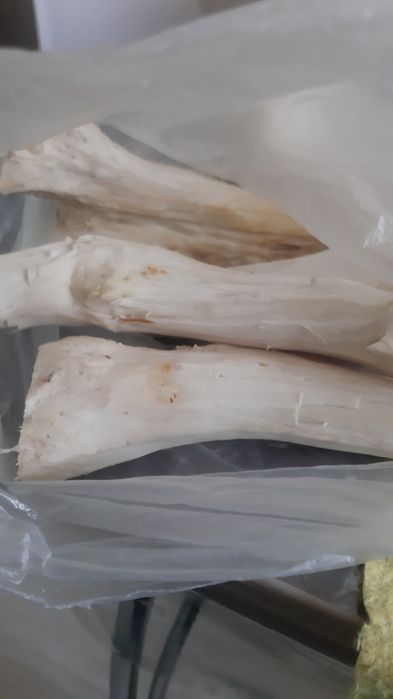 Корень хрена, для лечения,  для маринада