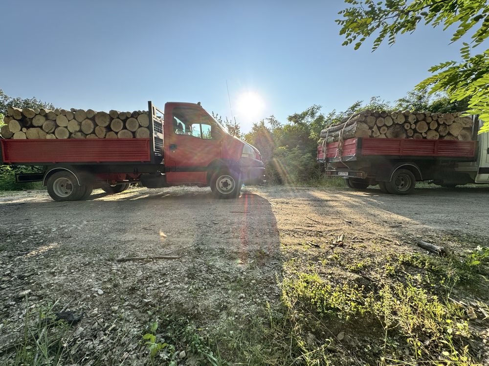 Vand lemn de foc in judetul Arad ESENȚĂ TARE