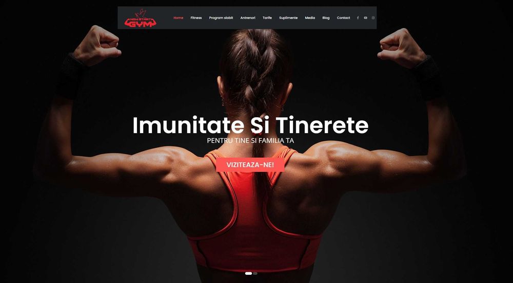 Realizez Pagini web, Magazine online, Bannere, Logo, Vectorizare sigla