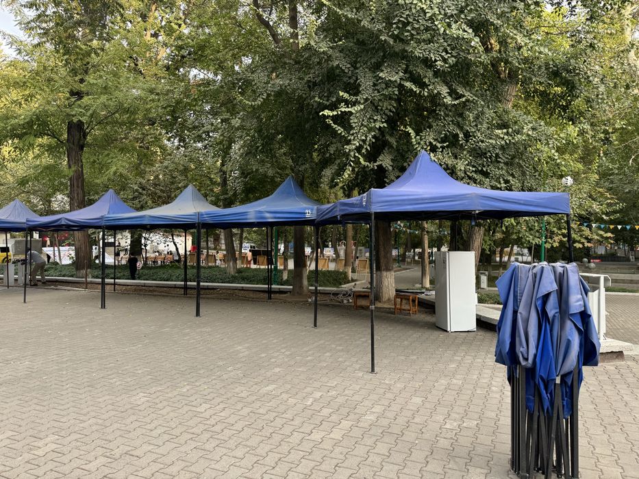 Naves arenda va sotuvda yengiisi bor