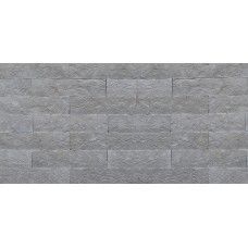Piatra naturala/placari interior/exterior/Scapitat Leon 7X30cm