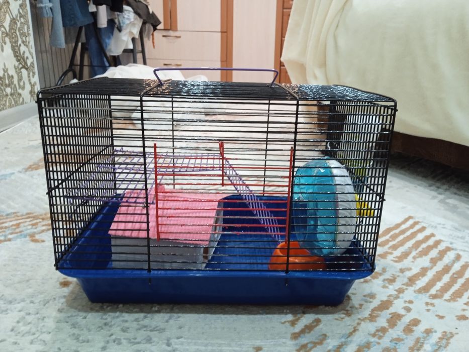 Клетка для хомяков.