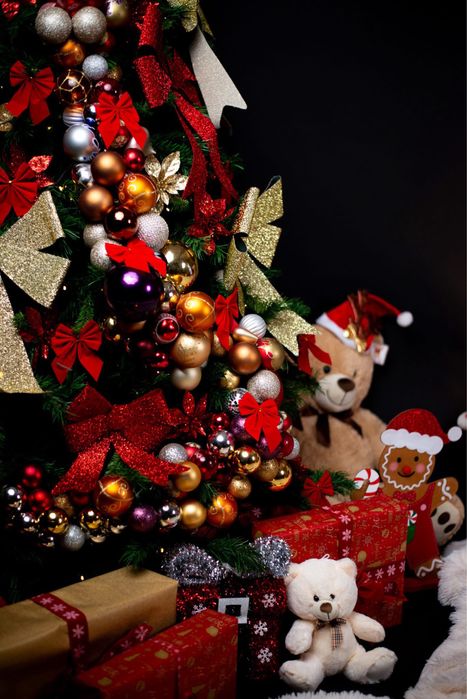 Ședință foto de Crăciun