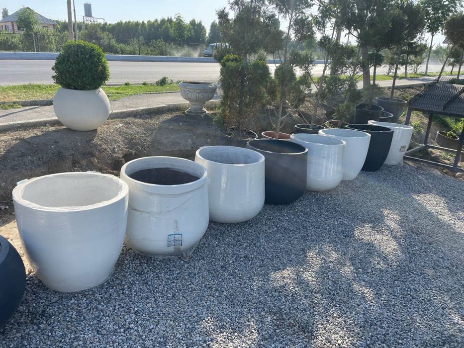 Гулдон Вазон Тувак